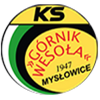 Klub Sportowy KS Górnik Wesoła