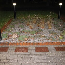 KakauSzale