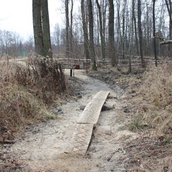Bielszowice Trails