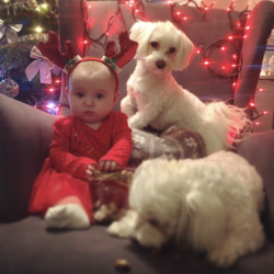 Najfajniejszy Bobas 2019
