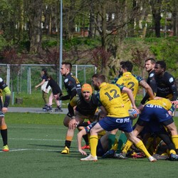 Pracowity weekend rudzkiego rugby