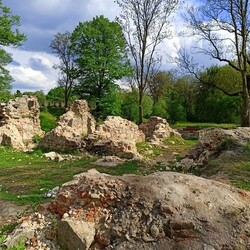 Zamek rudzki i dom Goduli