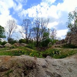 Zamek rudzki i dom Goduli