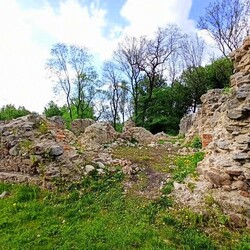 Zamek rudzki i dom Goduli
