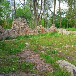 Zamek rudzki i dom Goduli