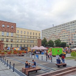 Food Fest