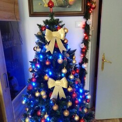 Choinki naszych Czytelników