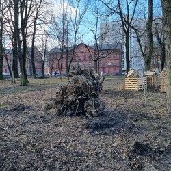 Modernizacja Parku Dworskiego