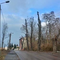 Budowa kolejnego etapu trasy N-S