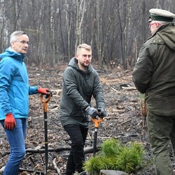Posadź drzewko z Nadleśnictwem Katowice