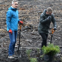 Posadź drzewko z Nadleśnictwem Katowice