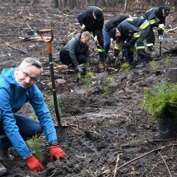 Posadź drzewko z Nadleśnictwem Katowice