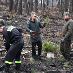 Posadź drzewko z Nadleśnictwem Katowice
