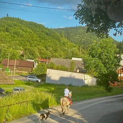 Konkurs Wakacyjny