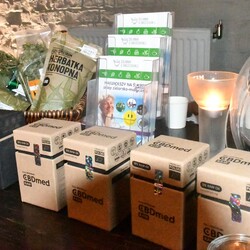 Kino dla Kobiet