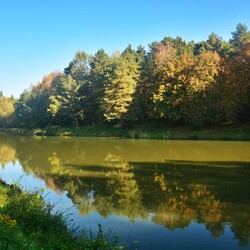 Jesień w lesie halembskim