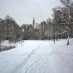 Zima w Rudzie Śląskiej