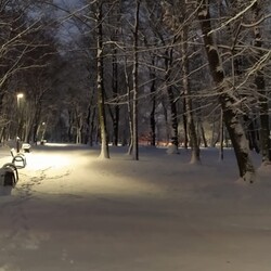 Zima w mieście