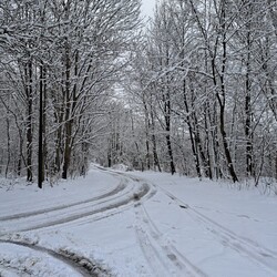 Zima w mieście