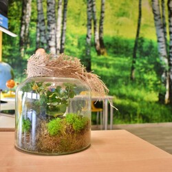 "Leśna Przystań" w SP nr 35 już otwarta!