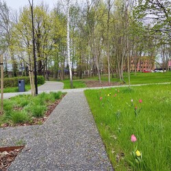 Nasadzenia kwiatów