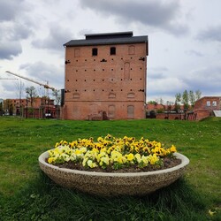 Nasadzenia kwiatów