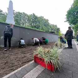 Roślinna (r)ewolucja na plantach w Kochłowicach