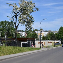 Otwarcie basenu letniego