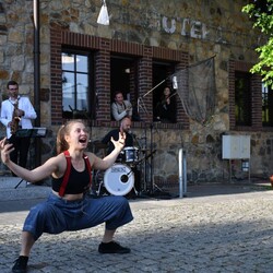 Industriada