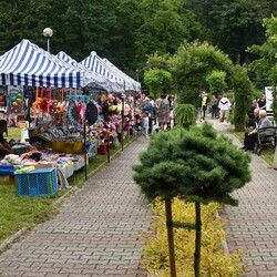 Noc Świętojańska