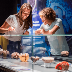 Wystawa BODY WORLDS