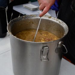 Senioriada