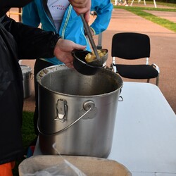 Senioriada