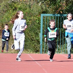 Bieg Wiewiórki