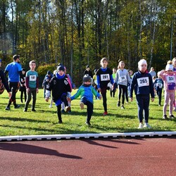Bieg Wiewiórki