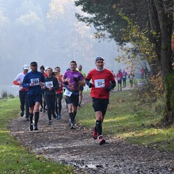 XXX Biegi Niepodległości