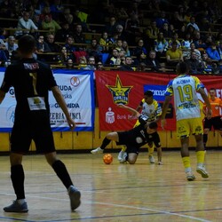 PKO Gwiazda Ruda Śląska vs Silesia Box Siemianowice Śląskie!