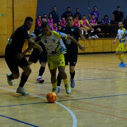 PKO Gwiazda Ruda Śląska vs Silesia Box Siemianowice Śląskie!