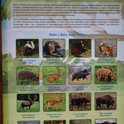 Otwarcie zewnętrznych pracowni przy SMS