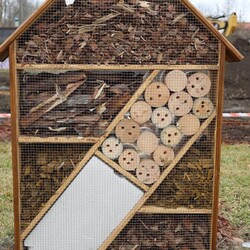 Otwarcie zewnętrznych pracowni przy SMS