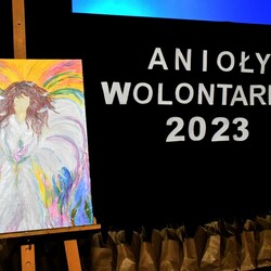 Anioły Wolontariatu