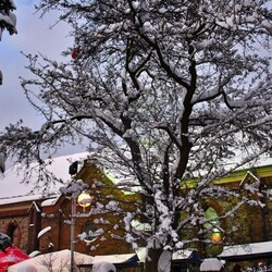 V Rudzki Jarmark Bożonarodzeniowy