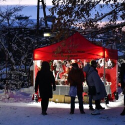 V Rudzki Jarmark Bożonarodzeniowy