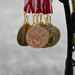 Charytatywna Wystawa Mikołajkowa Owczarków Niemieckich