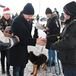Charytatywna Wystawa Mikołajkowa Owczarków Niemieckich