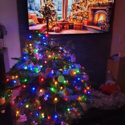 Bożonarodzeniowe drzewka naszych czytelników