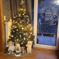 Bożonarodzeniowe drzewka naszych czytelników