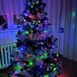 Bożonarodzeniowe drzewka naszych czytelników