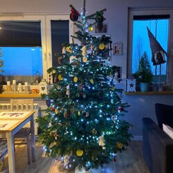 Bożonarodzeniowe drzewka naszych czytelników