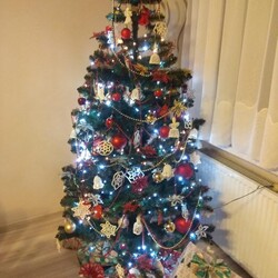 Bożonarodzeniowe drzewka naszych czytelników